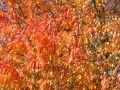 images 035.jpg
